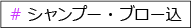 シャンプーブロー込み